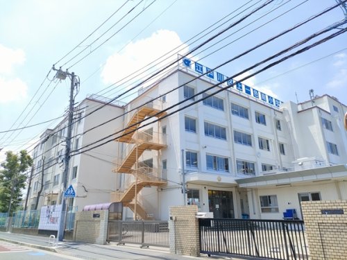 小学校　江戸川区立上一色南小学校（小学校）まで174m
