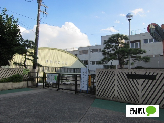 小学校　船橋市立前原小学校（小学校）まで1336m