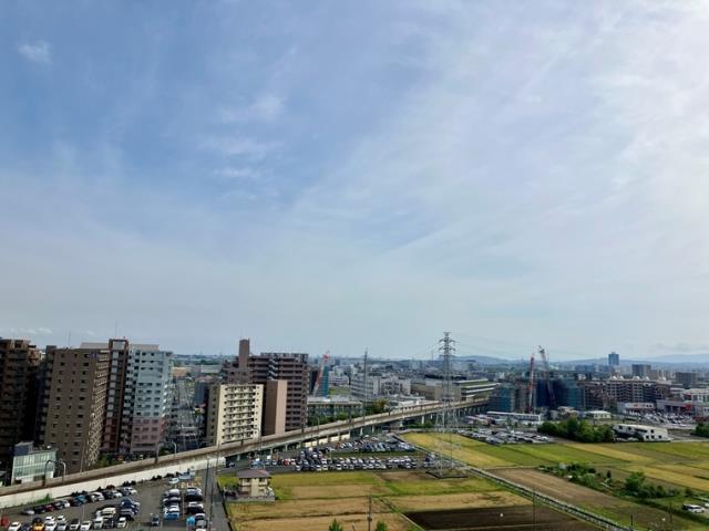 眺望