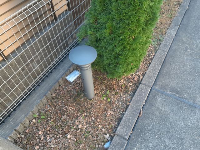 庭