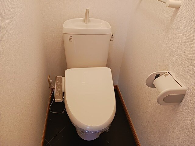 トイレ　トイレも気になるポイント