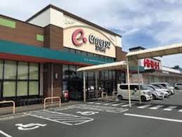 スーパー　遠鉄ストア掛川中央店（スーパー）まで759m