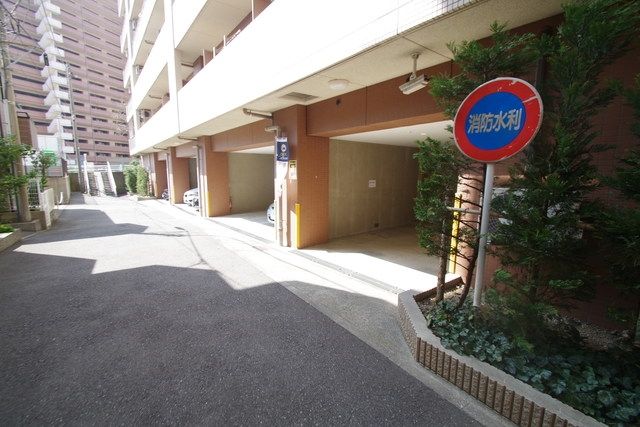 Primal Machidaのその他写真