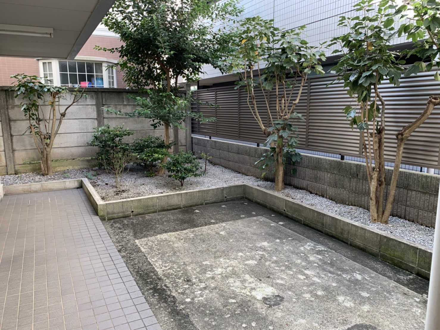 庭　中庭