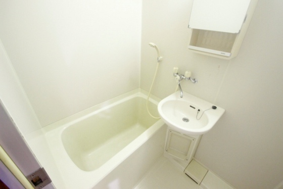 バス・シャワールーム　別のお部屋の写真になります。