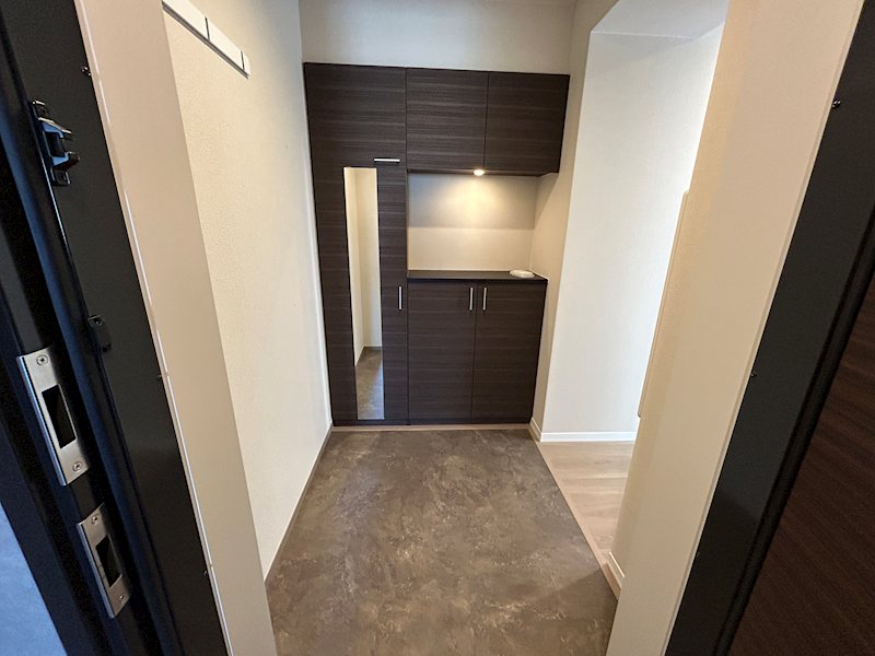 玄関　※写真は203号室です