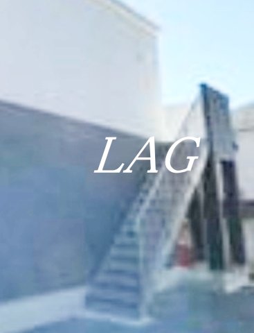 その他共有部分　共用階段です。