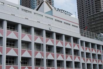 小学校　中央区立佃島小学校（小学校）まで621m