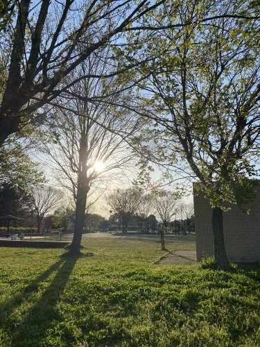 その他　富田公園テニスコート（その他）まで784m