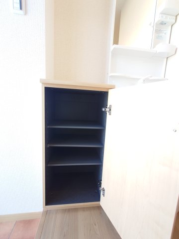 玄関　シューズボックス付