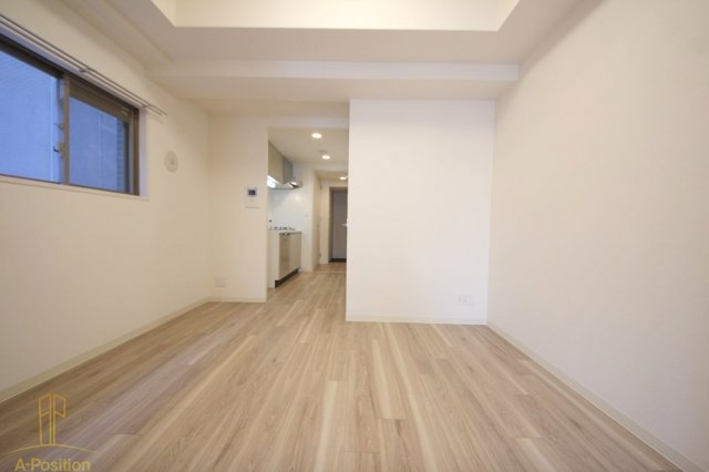 居室・リビング　プレサンス心斎橋ニスト