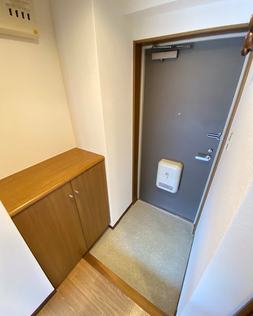 玄関　同物件他部屋写真