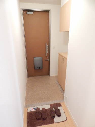 玄関　※別号室の写真になります。　上段にも収納あります