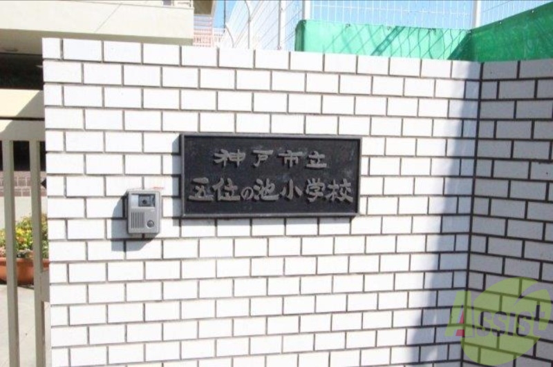 小学校　神戸市立五位の池小学校（小学校）まで408m