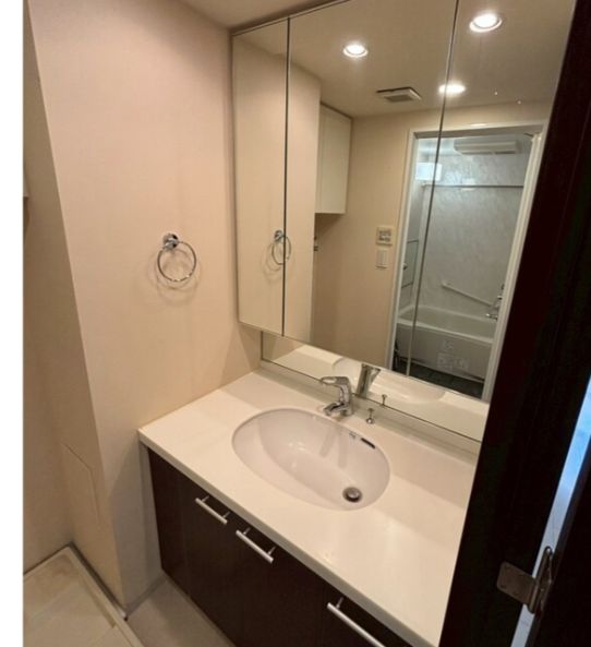 洗面設備　朝の支度にも助かる、独立の洗髪洗面化粧台