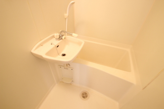 バス・シャワールーム　※別部屋の写真です