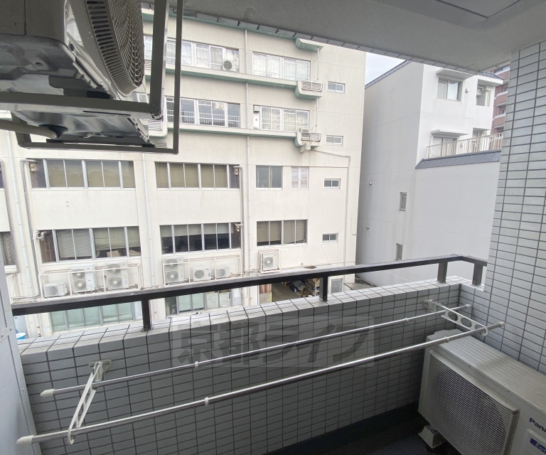 カームネスのその他写真