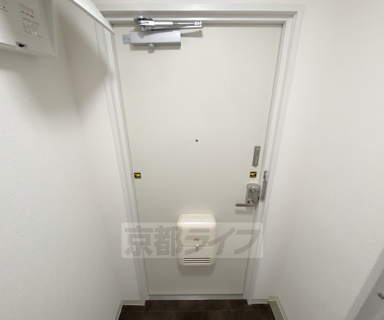 カームネスのその他写真