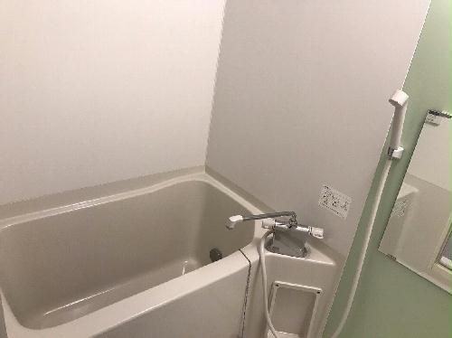 バス・シャワールーム　※部屋によりパネルの色が異なります