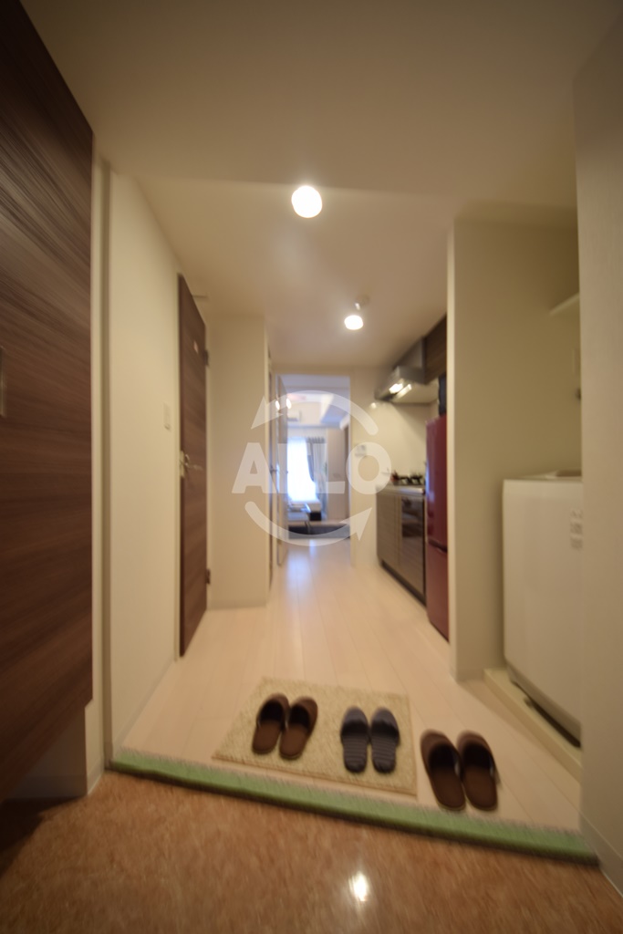 玄関　Luxe難波西III　玄関