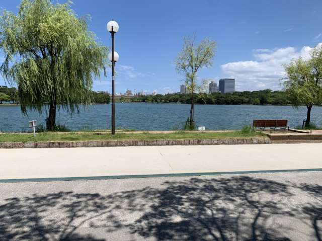 その他　★大濠公園（その他）まで1342m