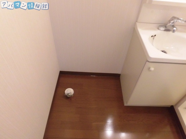 その他部屋・スペース　洗濯機置き場