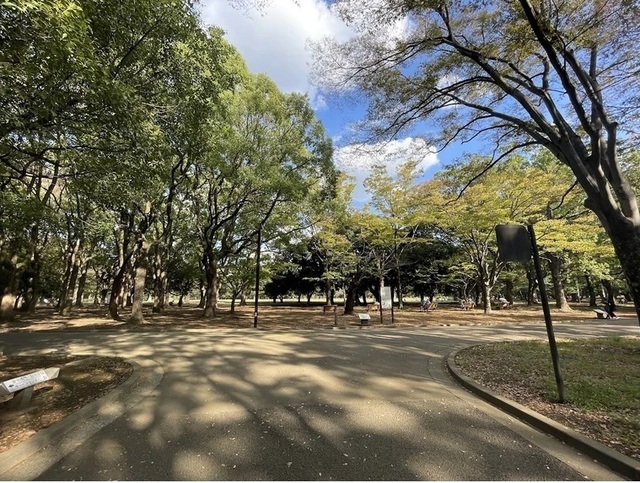 公園　東京都立代々木公園（公園）まで1089m