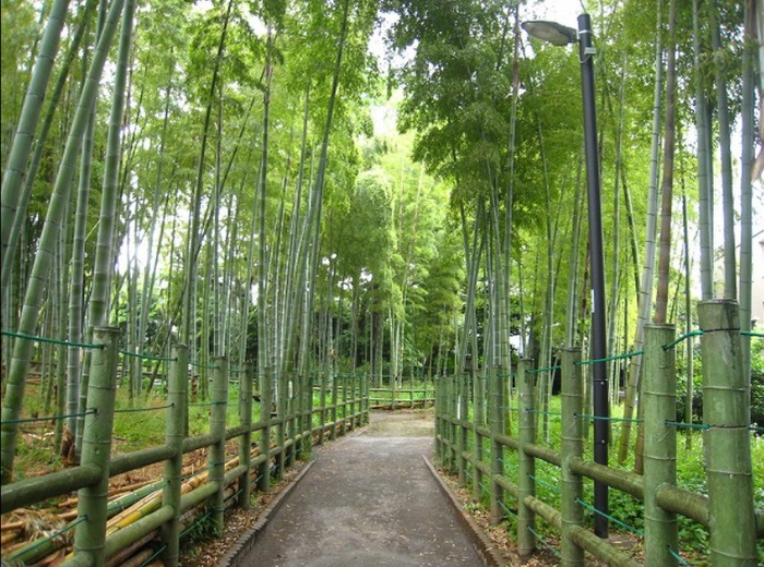公園　すずめのお宿緑地公園（公園）まで500m