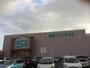 ホームセンター　ニトリ神戸和田岬店（ホームセンター）まで897m