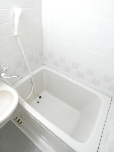 バス・シャワールーム　※同タイプの他のお部屋です