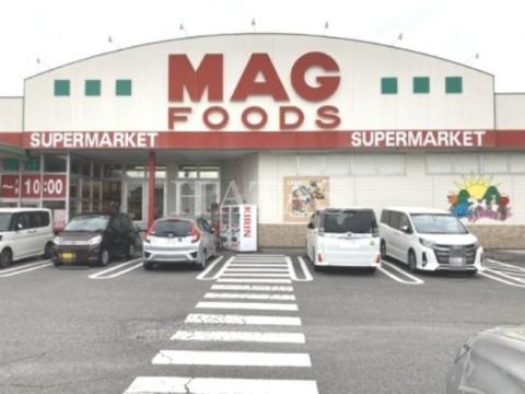 スーパー　マグフーズ　六ツ美店（スーパー）まで300m
