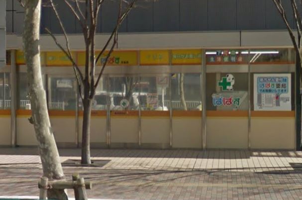 ドラックストア　どらっぐぱぱす月島店（ドラッグストア）まで246m