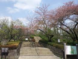 公園　世田谷区羽根木公園（公園）まで734m