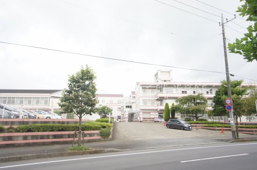 小学校　守谷市立 松前台小学校（小学校）まで109m