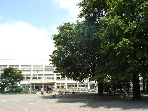 小学校　大和市立大和小学校（小学校）まで710m