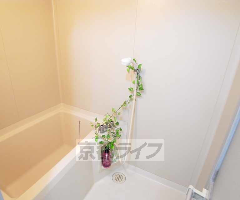 バス・シャワールーム　きれいなバスです