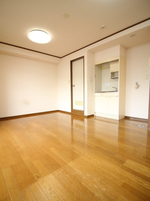 田中屋ビルの居間写真