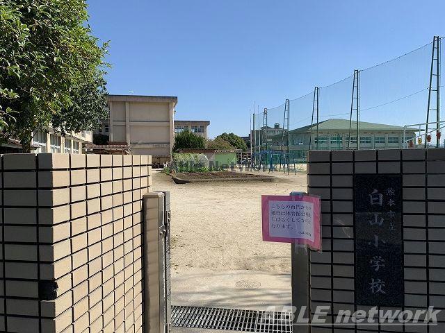 小学校　熊本市立白山小学校（小学校）まで791m