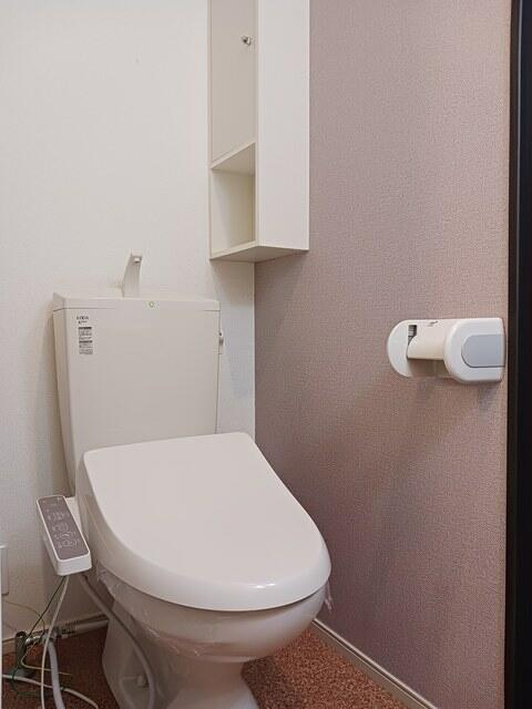 ＪＲ中央線 西八王子駅 徒歩14分 2階建 築12年のトイレ写真