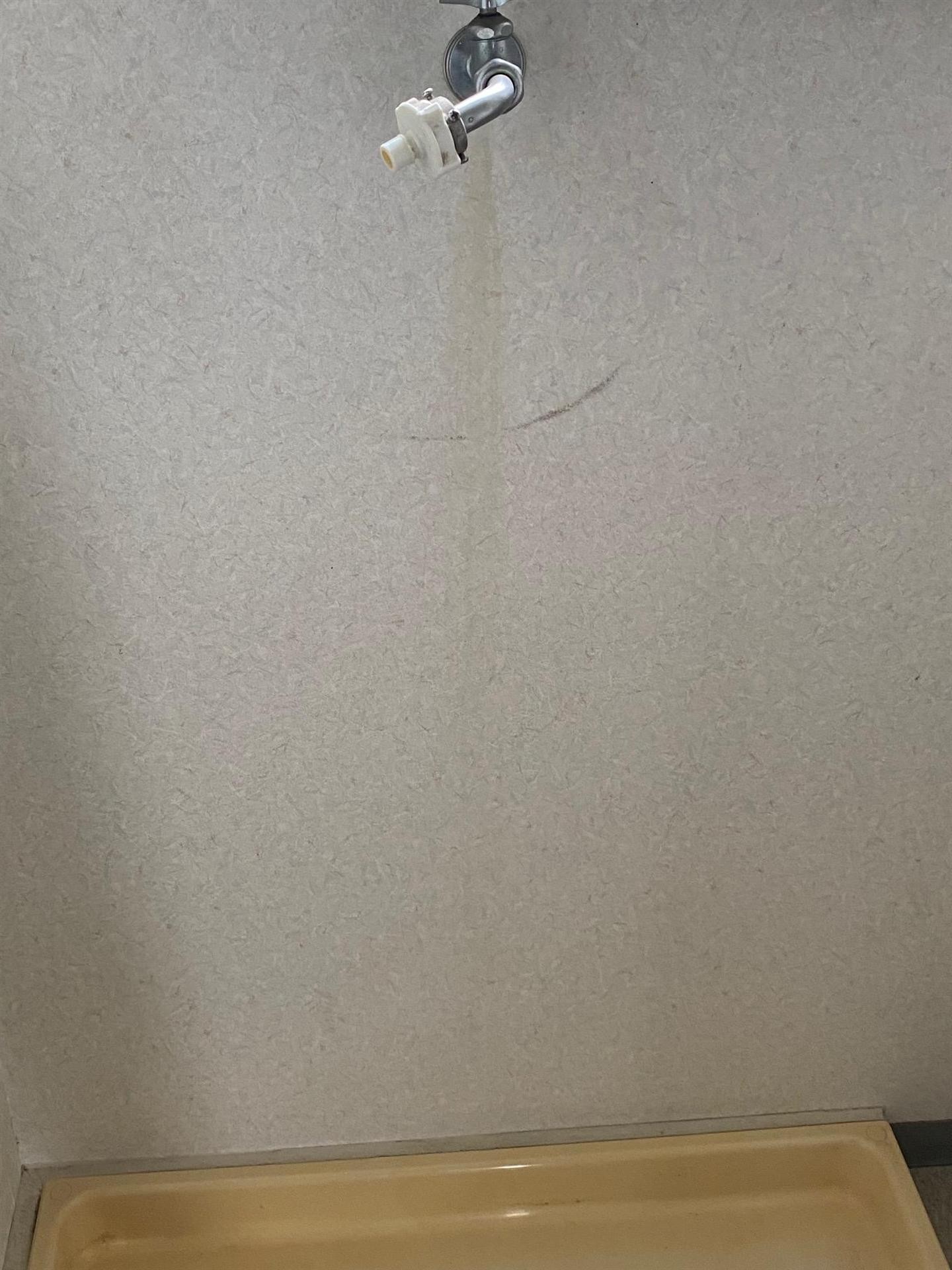 シティハイツ兼重のその他写真