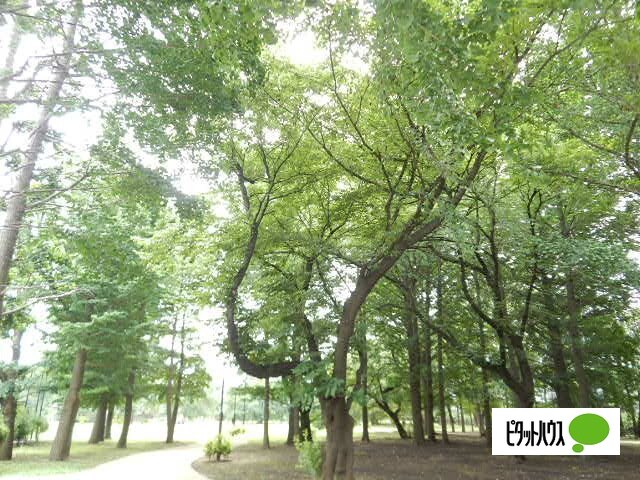 公園　梶野公園（公園）まで485m