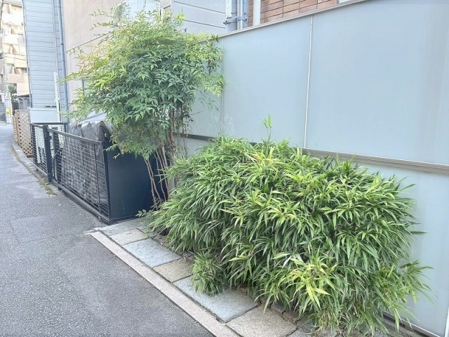 その他　植栽