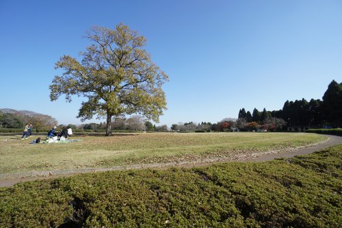 【千葉市緑区あすみが丘東のアパートの公園】