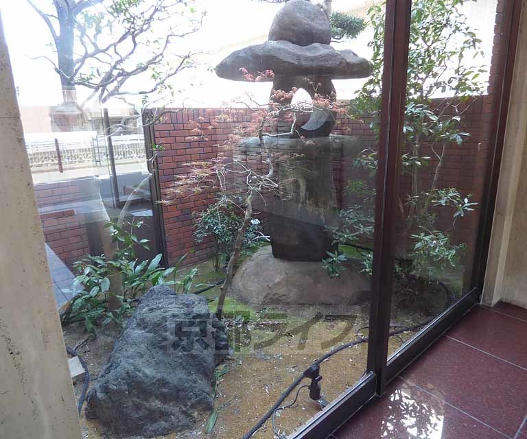 庭