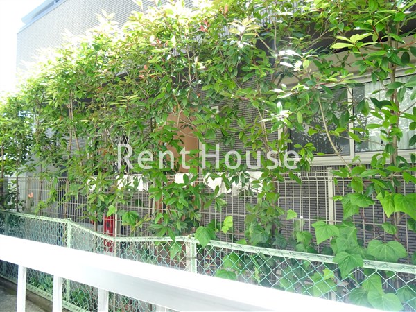 バルコニー　別号室の参考写真となります