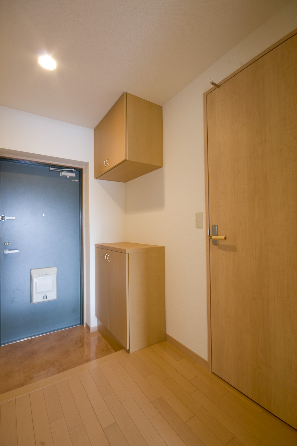 玄関　下駄箱は上下にあり