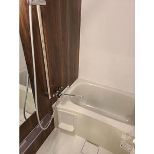 バス・シャワールーム　（別タイプ参考写真）KDXレジデンス池袋ウエスト　板橋区中丸