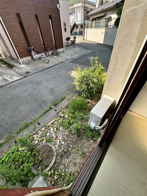 庭