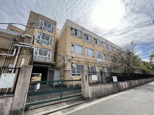 小学校　名古屋市立八幡小学校（小学校）まで1593m