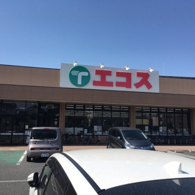 スーパー　エコス市川島尻店（スーパー）まで801m